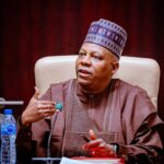 Shettima: Capital Market, Critical Tool for Diversifying Economy from Over-reliance on Single Commodity